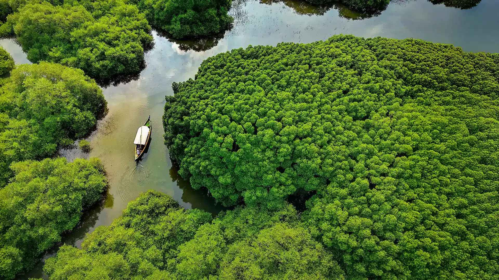 Kadalundi Bird Sanctuary